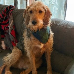 Meet your Posher, Alex